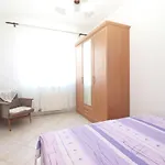 Daire Hasiba 1362 Peroj